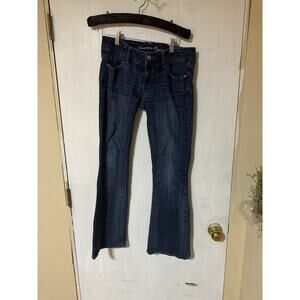Womens American Eagle Outfitters Artist Jeans 4 Denim Pants